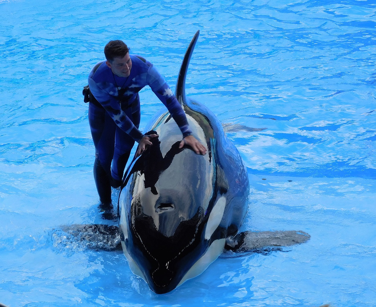 Sea World